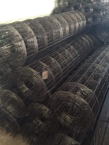 เหล็ก Wire Mesh